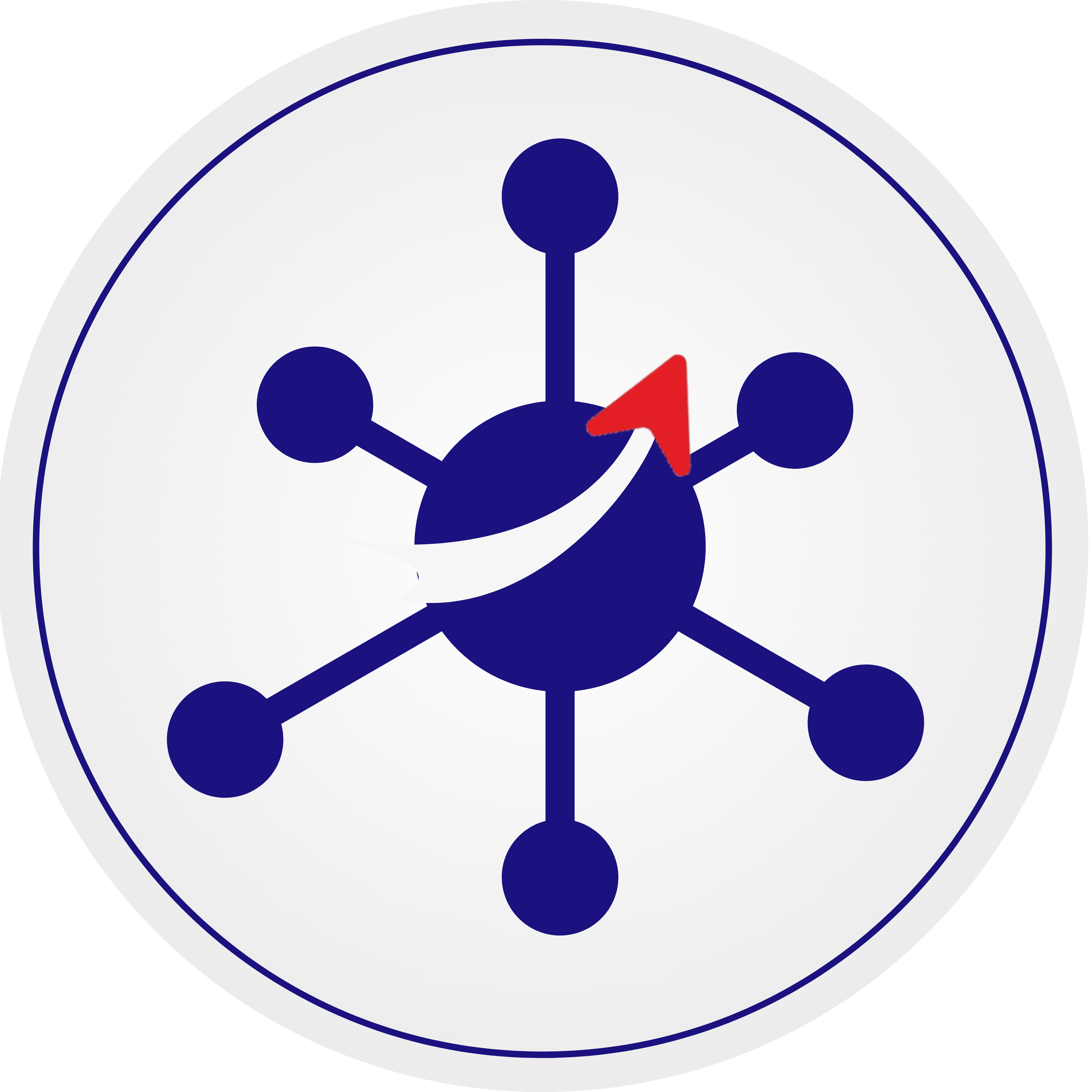 DMS Logo